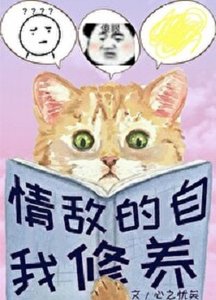 情敌的自我修养